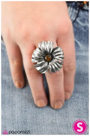 Paparazzi Ring ~ Take Your Pick - Brown