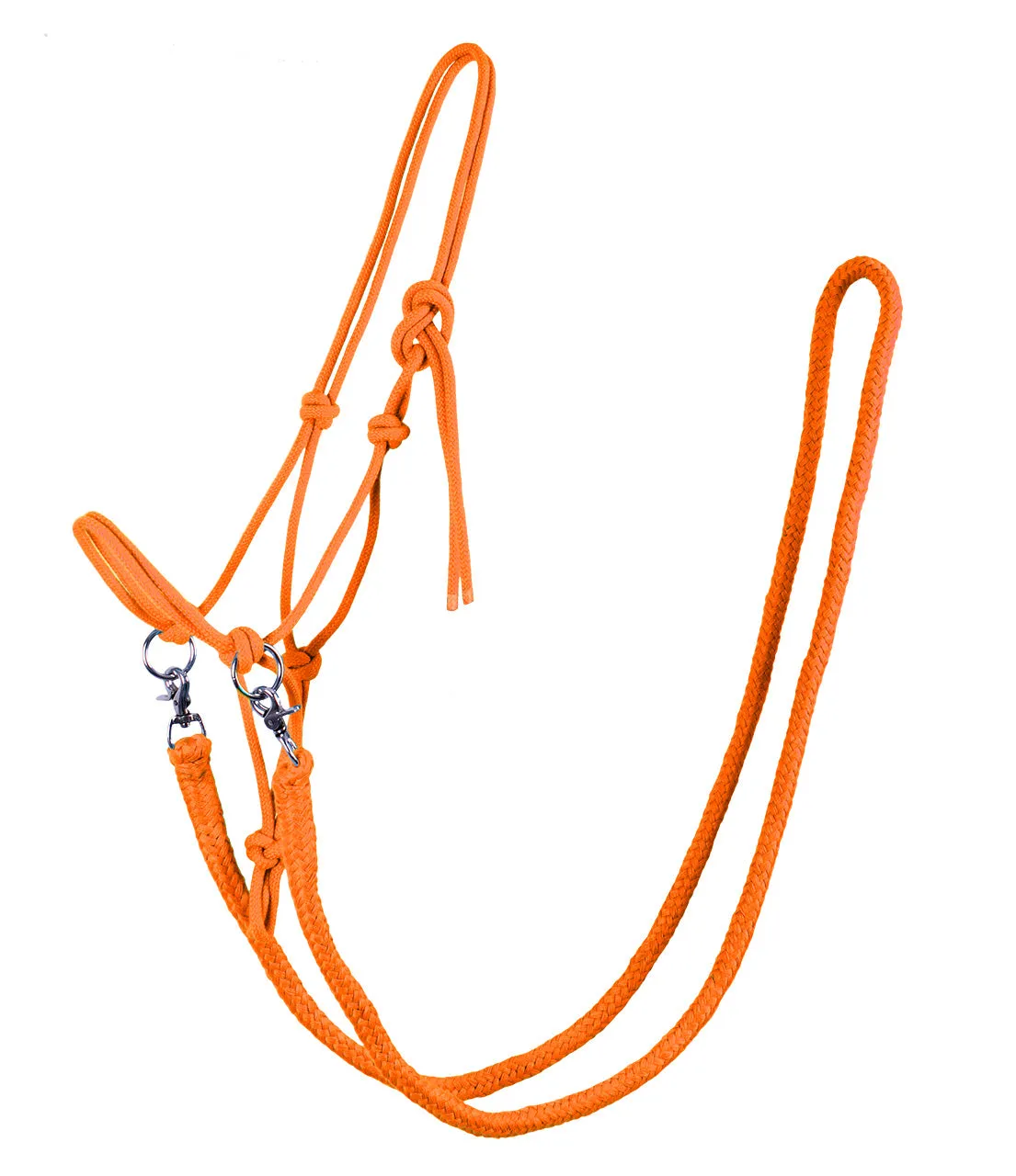 Rope Halter with Rein