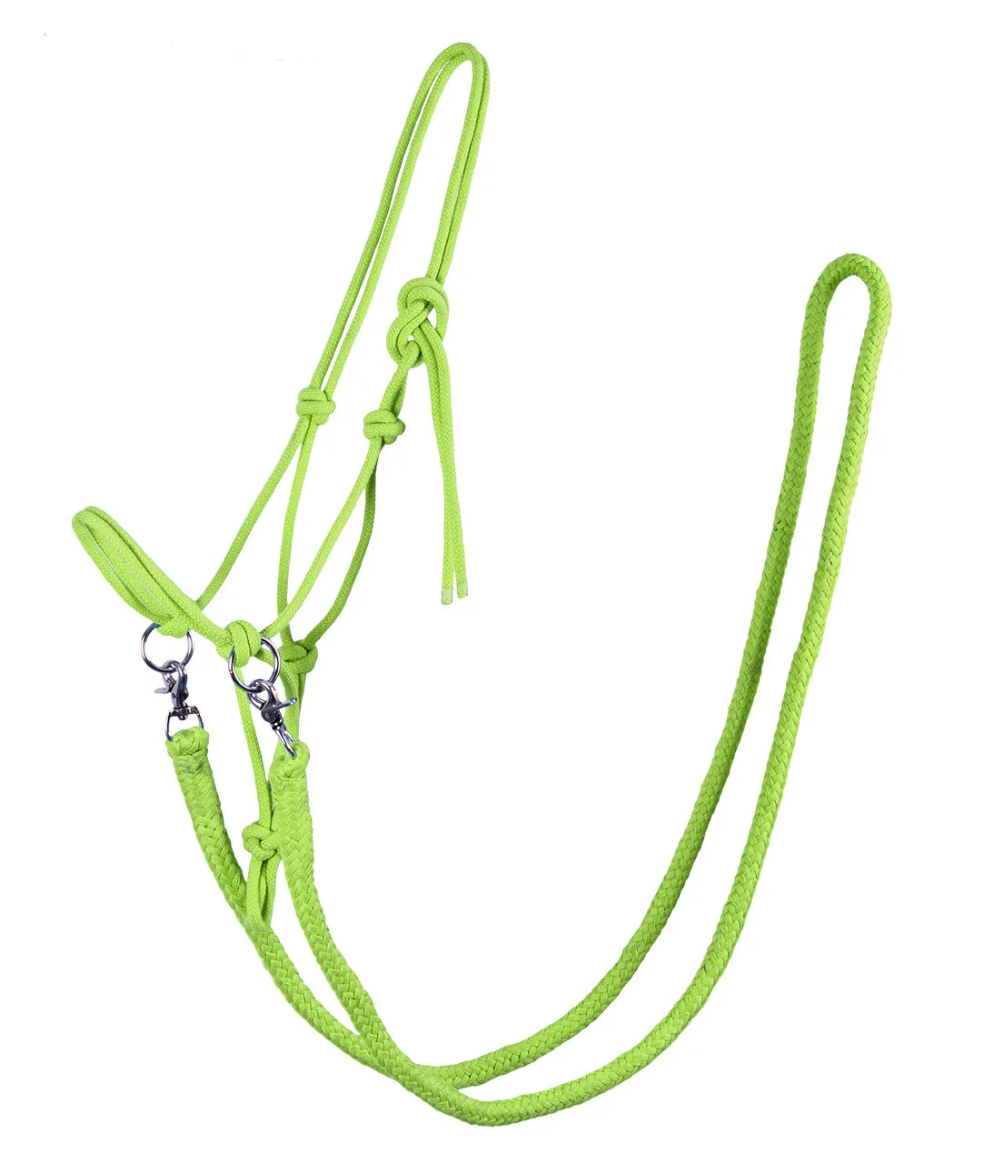 Rope Halter with Rein