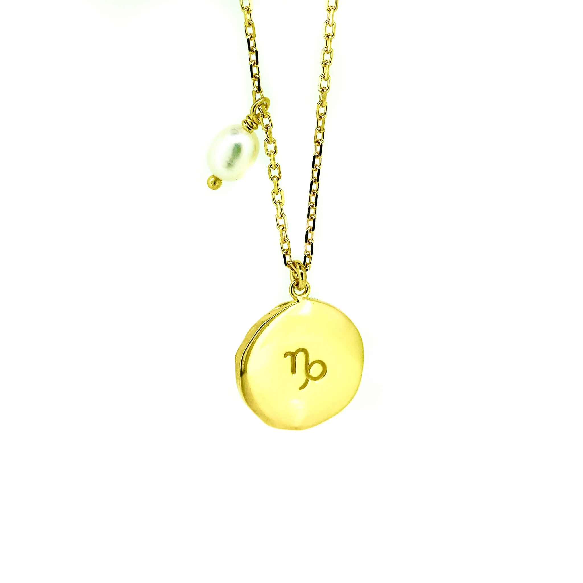 Zodiac Necklace Capricorn Gold